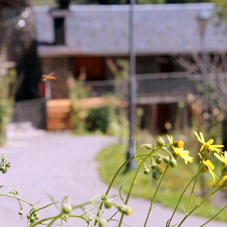 Apartaments Turistics Vilaro Llorts Exterior foto